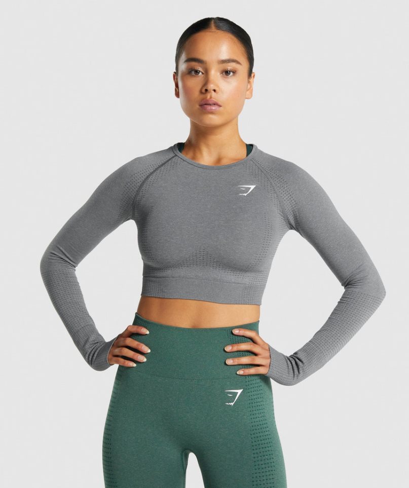 Women\'s Gymshark Vital Seamless 2.0 Long Sleeve Cropped Tops Grey | NZ 4AJYUI